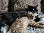    
: IMG_0222 (2).jpg
: 315
:	131.1 
ID:	8513