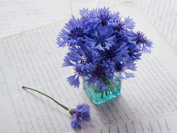 Название: 2.jpeg
Просмотров: 217
Размер: 153.8 Кб