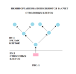 Нажмите на изображение для увеличения
Название: ЭВМ-1.png
Просмотров: 10005
Размер: 90.7 Кб
ID: 44